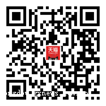 疝气灯安定器什么牌子好|掌上红豆